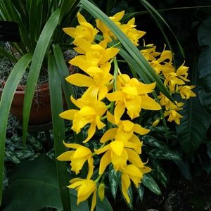 Meet your Posher, Michele